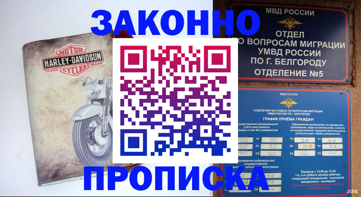 прописка для школы в Жигулёвске